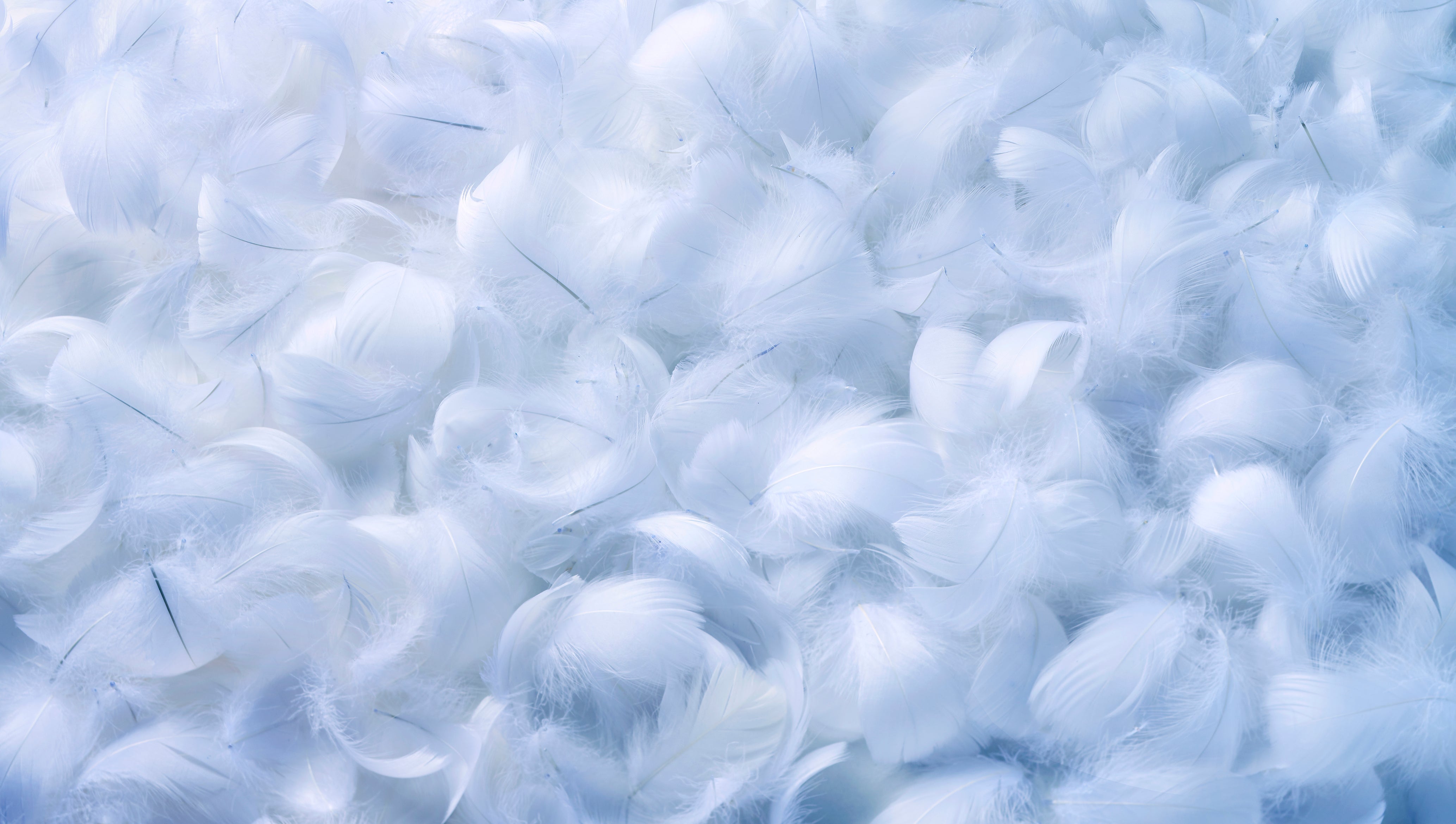 年末年始の発送について